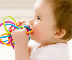 Baby chews on a ring shaped sensory toy.